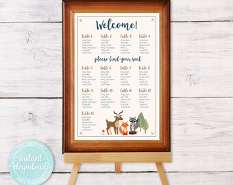 Baby Shower Seating Chart Ideas