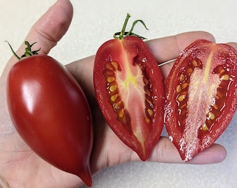 Legenda Tarasenko Tomato