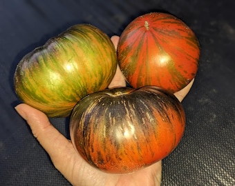 Dwarf Dipper's Delight Tomato