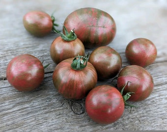 Purple Bumble Bee Cherry Tomato