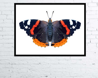 Photorealistic Drawing Red Admiral Butterfly Digital Art Poster / Nature Print
