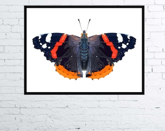 Disegno fotorealistico Red Admiral Butterfly Digital Art Poster / Nature Print