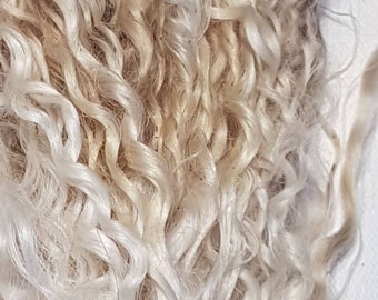 Teeswater Locks, Curly wool (25g)