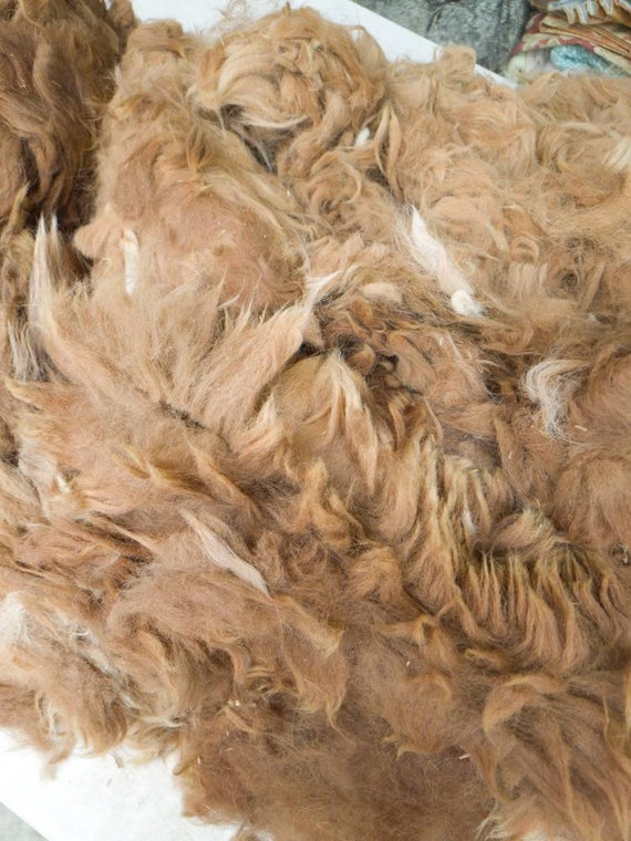 Alpaca Fleece Shorter Fiber / Pale Fawn / Pale Brown Alpaca / Alpaca / 1kg  / Whole Alpaca / Felting / Crafts / Carla 