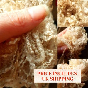 Blue Faced Leicester Curly Wool (25g)