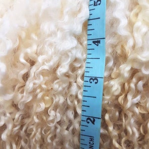 Wensleydale locks / 50g award winning / washed locks / doll hair / spinning / blythe reroot / curly locks / fibre ringlets image 6