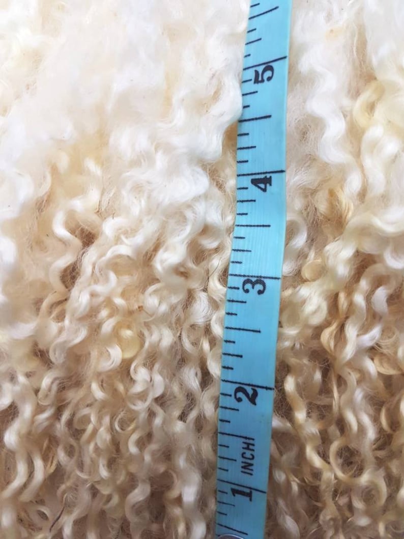 Wensleydale locks / 50g award winning / washed locks / doll hair / spinning / blythe reroot / curly locks / fibre ringlets image 6