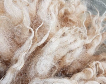 Boreray Sheep Fleece: Honey Raw Wool for Spinning & Felting (100g)
