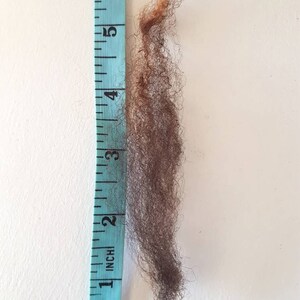 Op de afbeelding: Een monster van donkerbruin haar, ongeveer 15 cm lang, naast een blauwe meetlint. Het haar is een mix van bruine tinten en heeft een krullende textuur. De meetlint is gemarkeerd in inches.