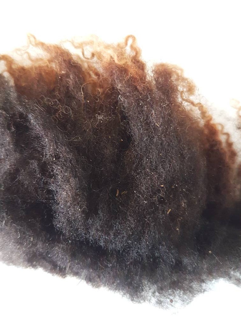 Op de afbeelding: Close-up van een stapel donkerbruine en zwarte wolvezels. De vezels hebben een krullende textuur en een kleurverloop, van lichtbruin aan de bovenkant naar diepzwart aan de onderkant. De wol ziet er zacht en pluizig uit.