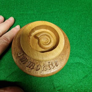 以下が含まれることがあります： アモンナイトの化石を彫刻した木製ディスプレイスタンド。スタンドの下には「ammonite」とラベルが貼られています。