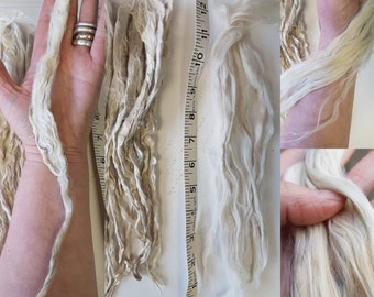 Suri Alpaca Locks / 25g Super Long 10 inch plus / Raw Suri Locks / Unwashed White Suri Locks / doll hair / reborn / blythe reroot / Felting