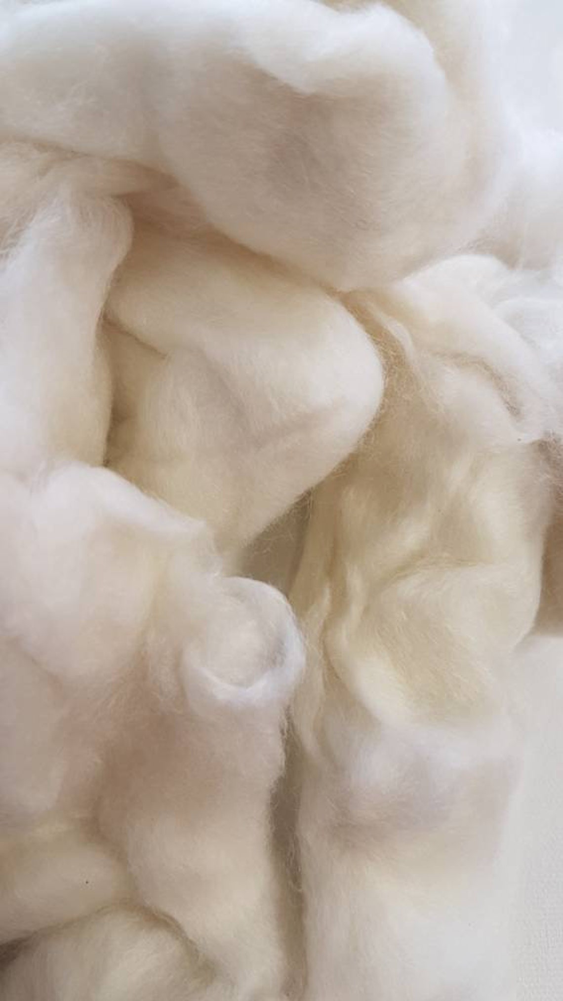 Cashmere Fibre / 50g / White Carded Cashmere / Spinning Fibre Etsy UK