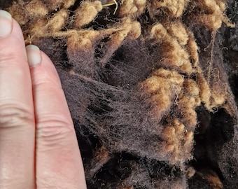 Polaire noire en mouton de montagne gallois, 200 g/polaire brute/filage à la main/filage à la main
