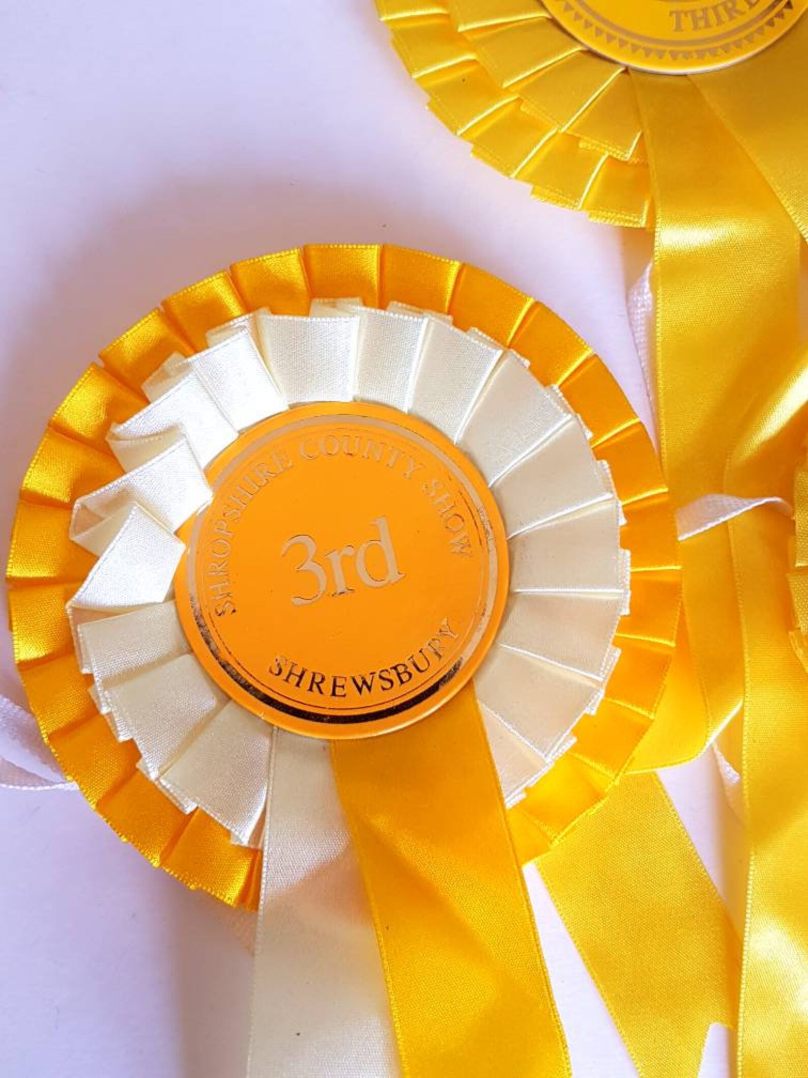 5 Yellow Rosette Ribbons / Yellow Ribbons / Rosettes / Prize Etsy