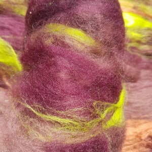 Dracula 'Jonathan Harker' Art Batt: Maroon, Green, and Auburn Spinning Fibre (50g) image 4