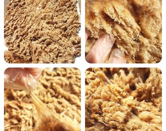 Castlemilk Moorit Schapenvlies / 100g Chocolade Fleece / Zeldzaam Ras / Spinning / Vilten / Raw Fleece / Shearling / Cruelty Free Fibre