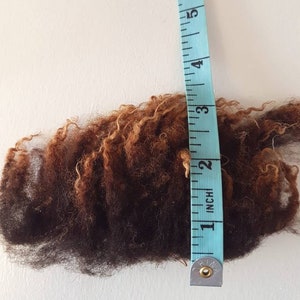 Op de afbeelding: Een close-up van een monster van donkerbruin en lichtbruin krullend haar. Een blauwe meetlint is verticaal naast het haar geplaatst en toont een lengte van ongeveer 15 cm.