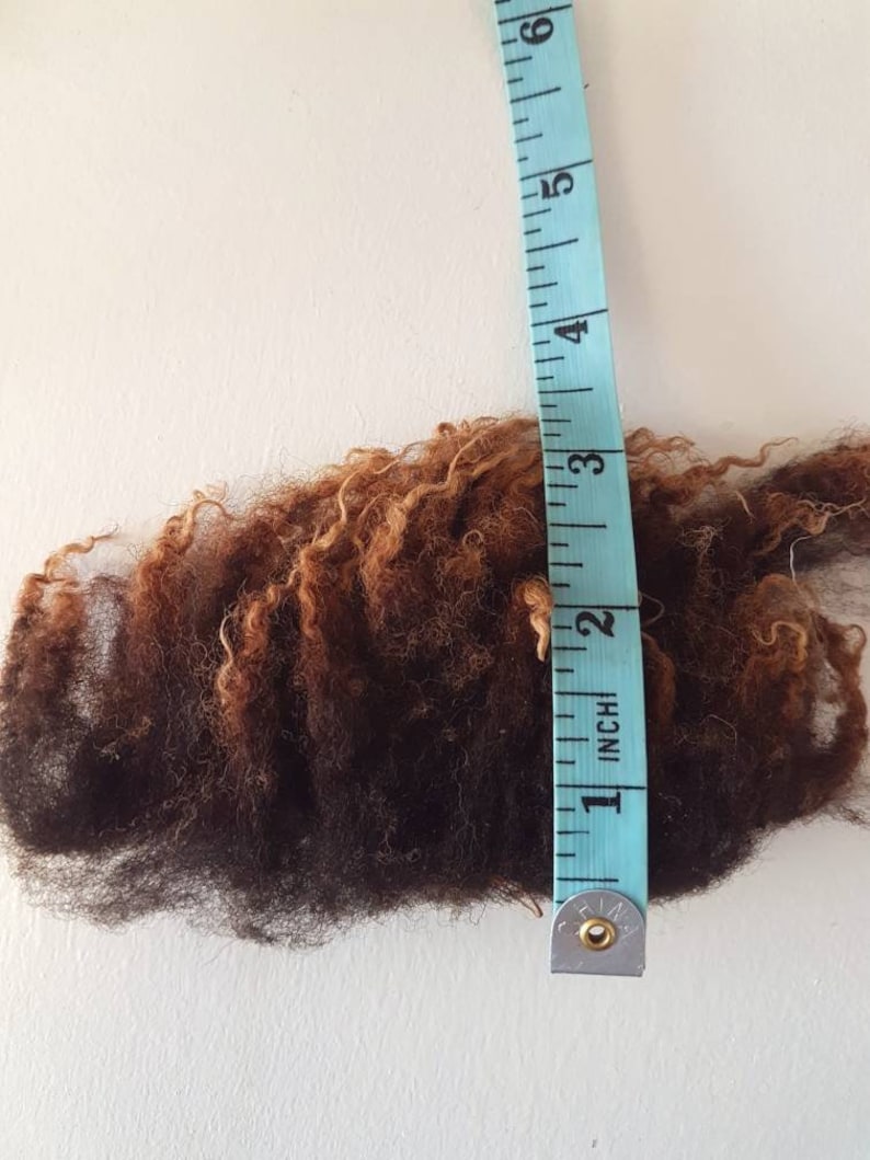 Op de afbeelding: Een close-up van een monster van donkerbruin en lichtbruin krullend haar. Een blauwe meetlint is verticaal naast het haar geplaatst en toont een lengte van ongeveer 15 cm.