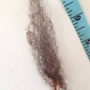 Op de afbeelding: Een monster van donkerbruin haar, ongeveer 15 cm lang, wordt getoond tegen een witte achtergrond. Een blauwe meetlint is rechts geplaatst en dient als visuele referentie voor de haarlengte.