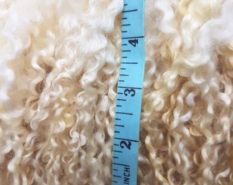 Wensleydale Locks: Award Winning Creamy White Curls (25g)