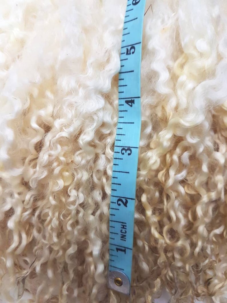 Wensleydale locks / 50g award winning / washed locks / doll hair / spinning / blythe reroot / curly locks / fibre ringlets image 2