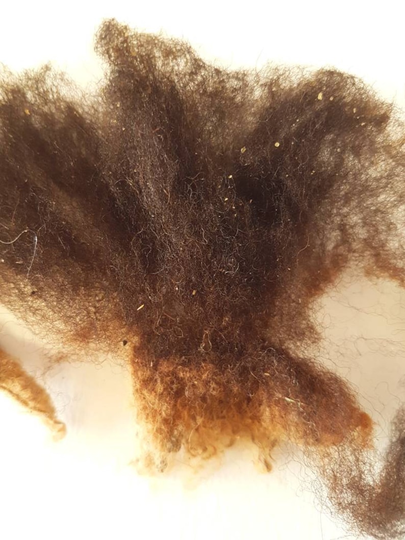 Op de afbeelding: Close-up van een stapel donkerbruine wolvezels. De vezels hebben een zacht, getextureerd uiterlijk met verschillende tinten bruin en bruin. Kleine vlekjes lichter materiaal zijn verspreid over de wol.