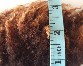 Raw Soay Sheep Fleece / 100g Chocolate Fleece / Rare Breed / Spinning / Felting / Wool / Raw Wool / Raw Fleece / Natural Fiber / Brown Locks