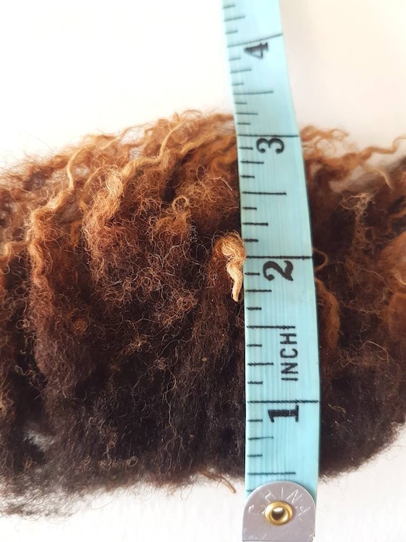 Raw Soay Sheep Fleece, Chocolate Brown, Spinning & Felting (100g)
