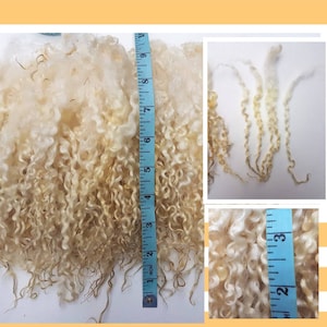 Wensleydale locks / 50g award winning / washed locks / doll hair / spinning / blythe reroot / curly locks / fibre ringlets image 1