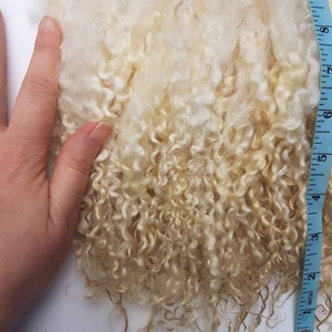 Wensleydale locks / 50g award winning / washed locks / doll hair / spinning / blythe reroot / curly locks / fibre ringlets image 8