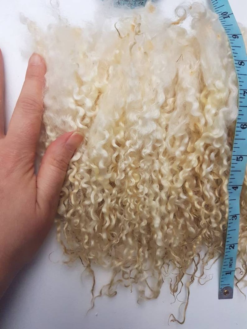 Wensleydale locks / 50g award winning / washed locks / doll hair / spinning / blythe reroot / curly locks / fibre ringlets image 8