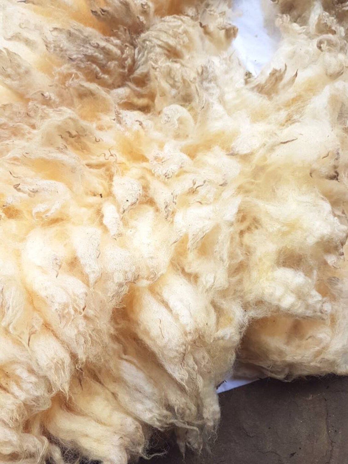Raw Shearling Texel Sheep Fleece / 200g Fleece / Rare Breed / Etsy