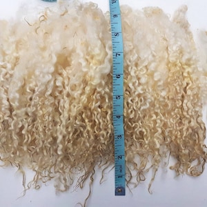 Wensleydale locks / 50g award winning / washed locks / doll hair / spinning / blythe reroot / curly locks / fibre ringlets image 3