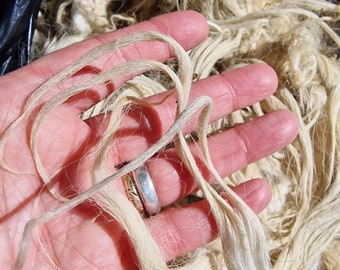 Greyface Dartmoor Lamb Fleece / 1kg Fleece / Endangered / British Rare Breed / Spinning / Felting / Raw Wool / Doll Hair / Reroot / Blythe