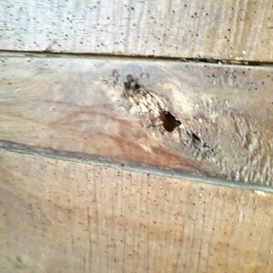 May include: Close-up of a wooden surface with a large hole and many smaller holes. The wood is brown and has a rough texture.
