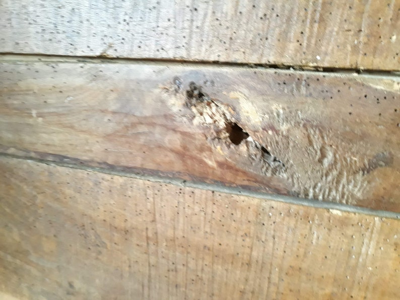 May include: Close-up of a wooden surface with a large hole and many smaller holes. The wood is brown and has a rough texture.