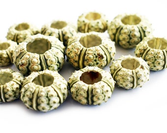 12 Green Knobby Mini Sea Urchins (3/4"-1 1/4") Beach Crafts Hobby Decor Nautical