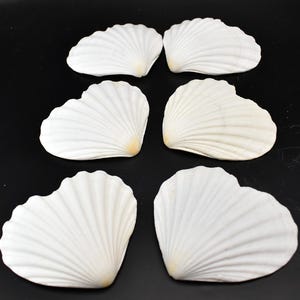 Set of 3 Heart Shaped White Scallop Shells (4&quot;) Beach Crafts Coastal Decorating Painting Decoupage