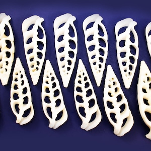 May include: A collection of white, intricately designed, ceramic seashells with a leaf pattern. The shells are arranged in a wave-like pattern on a dark blue background.