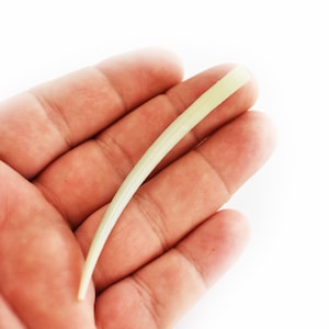 May include: A single, pale green, curved piece of lemongrass held in a hand against a white background. The lemongrass appears fresh and has a smooth texture. The image is well-lit, highlighting the details of the plant.
