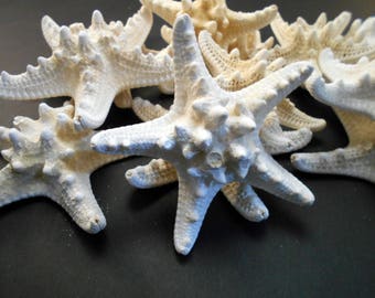 12 Large Knobby White Starfish 4"-5" Beach Cottage Wedding Decor Nautical Crafts