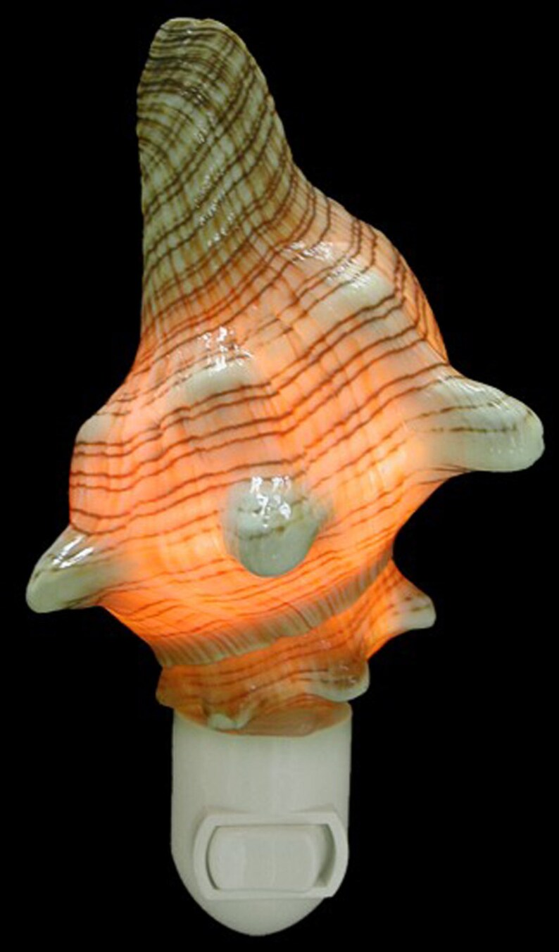 Real Seashell Night Light Fox Conch Shell Decorative Beach