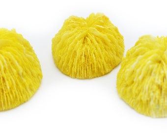 3 Small Dyed Yellow Mushroom Corals Home Decor Nautical 1-2" Coastal Crafts Beach Vase Filling Cute