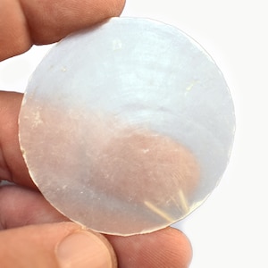 May include: A round, translucent, white, iridescent, mother of pearl shell.
