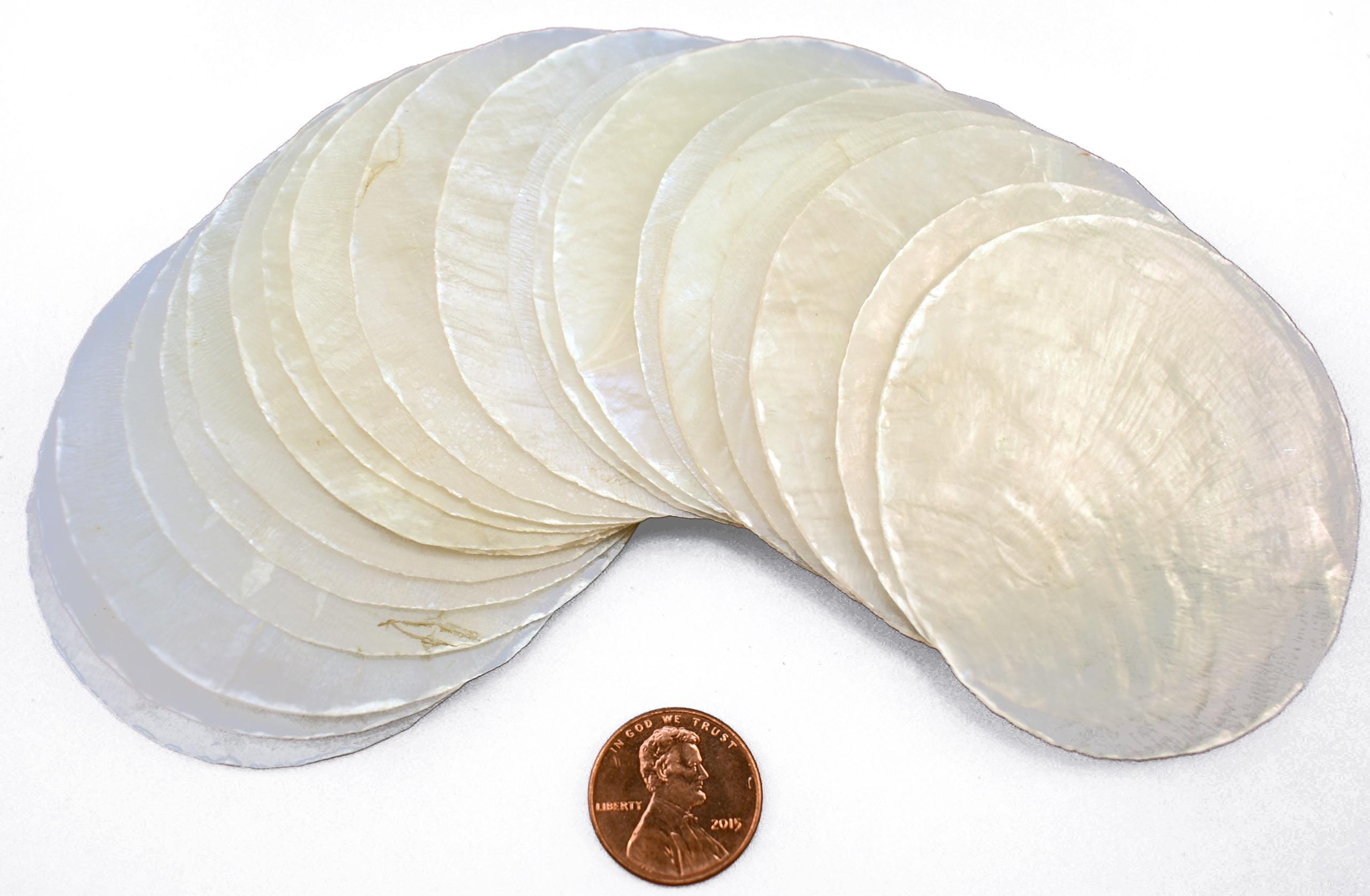 25 Large Natural Capiz Shells Round Cut - 2 1/2
