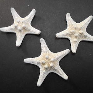 May include: Three white starfish on a black background. The starfish are arranged in a triangular pattern.