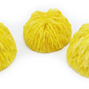 May include: Three yellow coral pieces, each with a unique shape and texture. The coral is a natural material and has a delicate, frilly appearance.