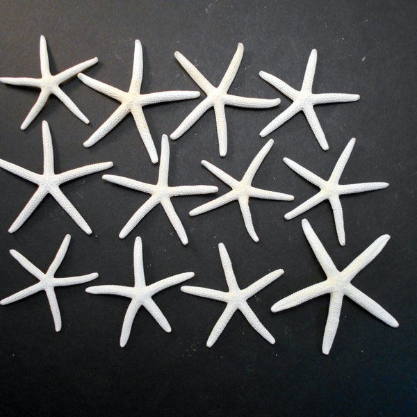 Set of 12 Small White Finger Starfish 2 - 3" Beach Weddings Crafts Coastal Decor Nautical