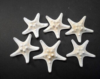 6 White Knobby Starfish 3-4" Beach Wedding Decor Nautical Crafts Hobby REAL